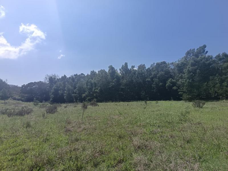 0 Bedroom Property for Sale in Albertinia Western Cape